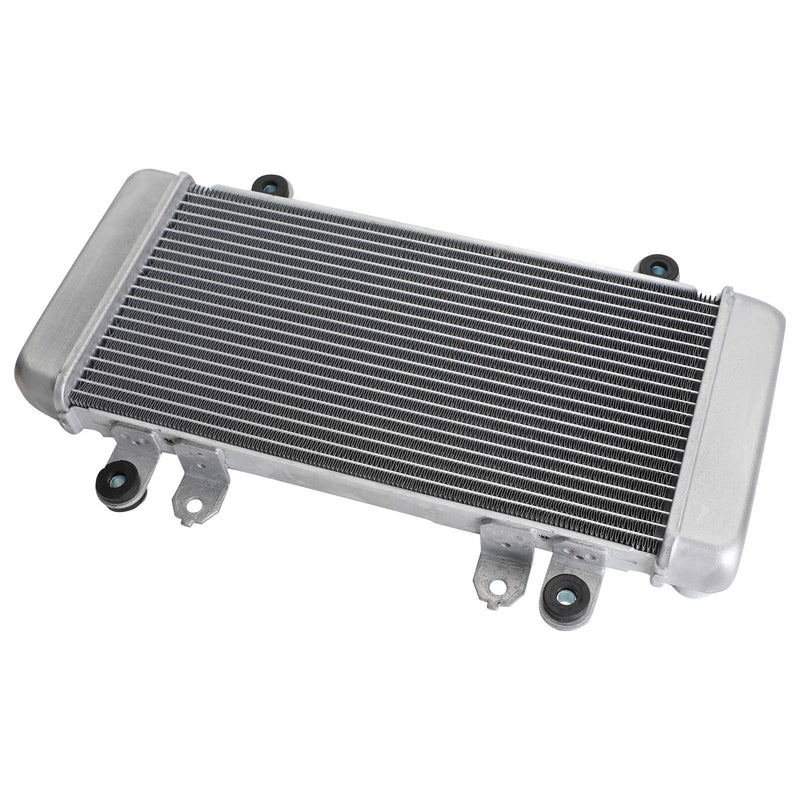 Radiator Guard Radiator Cooling para KAWASAKI NINJA 300 EX300 EX 300 2013-2017 Genérico