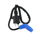 Zündspule Zündkerze CDI passend für Honda FourTrax 300 TRX300 1990-1993 Generic