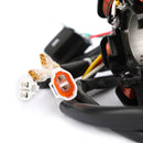 Stator pro Beta RR 2T 125 250 300 4T 350 400 430 450 480 498 520 2010-2018 Generic