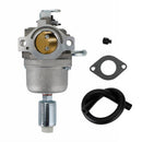 594593 591731 794572 796109 14,5-21 HP 31G777 31H707 Karburátor Karburátor