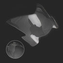 Proteção do farol dianteiro adequada para Suzuki Gsx-S 1000 Gsx S 1000 17-21 Smoke Generic