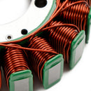 Stator til Kawasaki KZ1000M CSR KZ1000K LTD KZ1100B GPZ KZ1100A aksel 1981-1983