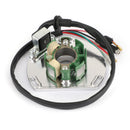 Paso del magneto del estator