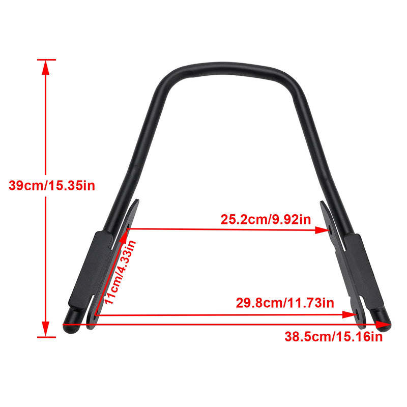 Trident 660 2021-2023 Soporte de mano para reposabrazos de pasajero para motocicleta Fedex Express