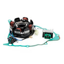 Yamaha TT-R 230 TTR230 2005-2023 Regulator Magneto Stator Coil Seal Kit