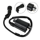 Suzuki AN250 AN400 DF200 Yamaha XV125 XV240 XV250 Virago CDI LÅDA Tändare