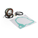 Magneto-Stator+Spannungsgleichrichter+Dichtung für Yamaha Virago XV 535 500 400 87-94