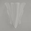 2023- Kawasaki ZX-4RR frontrute