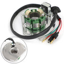 Paso del magneto del estator