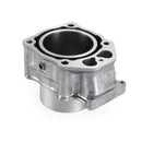 Cylindersats för Honda 12-19 Trx500 Foreman 15-20 Pioneer Sxs500 12100-Hr0-F00