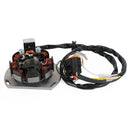 Magnetgenerator-Stator, passend für Gas Gas EC 125 200 220 300 2005–2011 / ME250534005