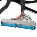 Chicote de fiação autônomo LS1-4L60E adequado para LS SWAPS DBC 4.8 5.3 6.0 1997-2006