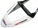 Carenagens 2001-2003 Honda CBR 600 F4i Preto e Branco Playboy Racing Genérico
