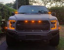 F-150 F150 2015–2019 Ford 3X Stoßstangengrill LED-Lichtgrill Ersatzgrill Raptor Style Generic
