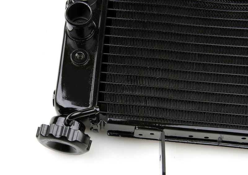 Radiator Grill Guard Radiator for Suzuki SV650 2003-2007 Black Generic