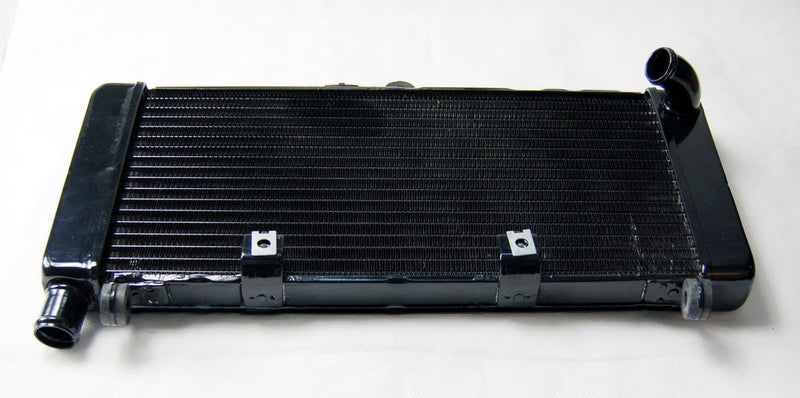 Kühlergrillschutz Kühler für Honda Hornet 900 Black Generic