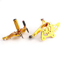 Komplett fotstödssystem bakre fotstödsset för 11-16 SUZUKI GSR750 GSXS750 GSX-S750 Generic