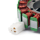 Cewka stojana generatora dla Ducati 1098 R/S/RBAYLISS 1198 S/SP/Standard 749 Dark Generic