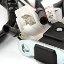 Bobina de estator de generador para Honda CMX250X Rebel (96-16) CB 250 Nighthawk (91-2008)