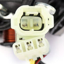 Generator Stator Coil 31120-HN6-A31 for Honda TRX250EX Sportrax 250 EX (06-08) Generisk