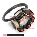 Cívka statoru 6 pólů pro Yamaha TTR90 2000 2001 2002 2003 2004 2005 2006 2007 Generic