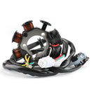 Lichtmaschine Statorspule für Kawasaki KLX 300 KLX300R 1996-2007
