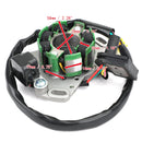 Magneto Statorspule für Suzuki RM125 RM 125 2005 2006 2007 2008 32101-36F30 Generic