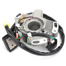 Magneto Statorspule für Suzuki RM125 RM 125 2005 2006 2007 2008 32101-36F30 Generic