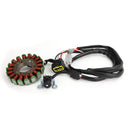 Generator Stator for Yamaha WR250R WR250X 2007-2017 3D7-81410-00 3D7-81410-01 Generisk