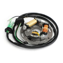 Estator para Yamaha 650 700 701 6R8-85560-10-00 62T-85560-00-00 6R7-85560-10-00 Genérico