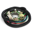 Statorbaugruppe für Yamaha Wave Runner XL1200 GP1200 SUV1200 GP XL 1200 97-04 AL