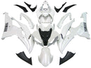 fairing-r6-0809
