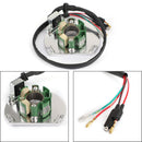 Paso del magneto del estator