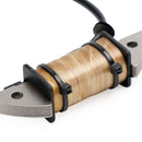 Ladespule für Yamaha Außenbordmotor 2HP 2B 2C 6A1 Typ Motor 1995–2006 6A1–85520–00