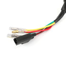 Areyourshop Alternator Stator Passer for 125 200 250 300 380 EXC EGS SX (2K-2) 1998-2004