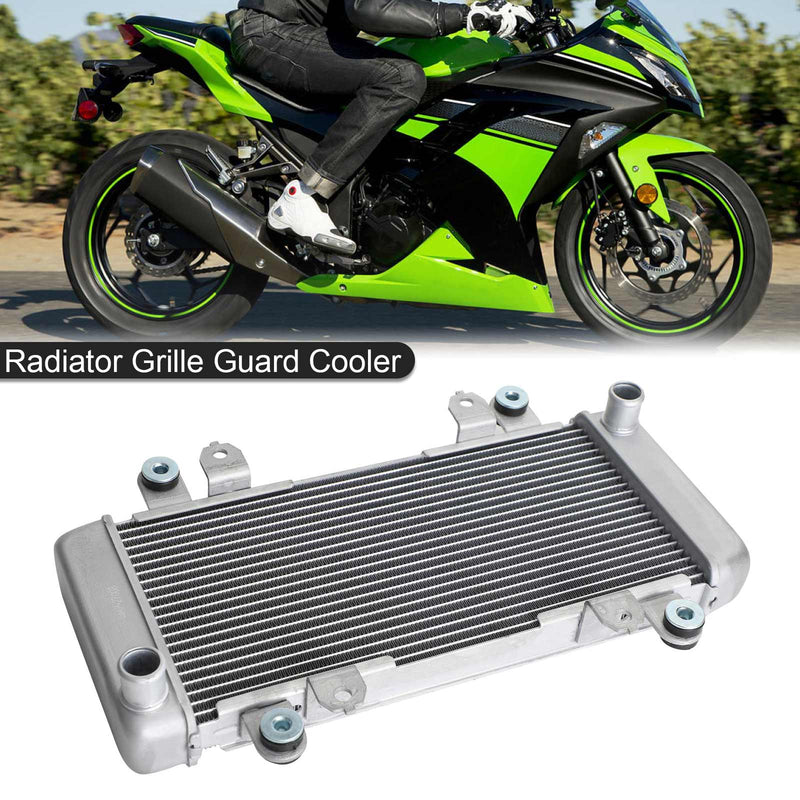 Radiatorbeskyttelse radiatorkjøling for KAWASAKI NINJA 300 EX300 EX 300 2013-2017 Generisk