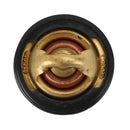 Motorkühlmittelthermostat für Polaris Sportsman Scrambler 500 3084940 3090049 Generic