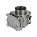 Top-End-Kit mit Zylinderkolben für UTV ATV 500 cc HiSUN BENNCHE MASSIMO COLEMAN Generic