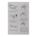 Dashboard -Bildschirmschutz sehr transparent für Vespa Primavera 150 125