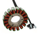08-22 Yamaha XG 250, XT 250 Serow Regulator Magneto Stator Coil Dichtungssatz Fedex Express Generic