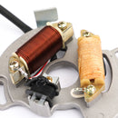 Generator Magneto Stator Passer for Yamaha Blaster YFS200 90-02 3JM-85560-00-00 Generisk