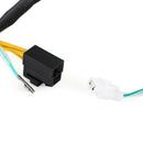 Statorgenerator für Kawasaki KLX 250 300 KLX300R KLX250 SR 1993-1998 Generic