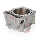 Cylindersats cylindersats för Yamaha WR 450 F 03-06, YZ 450 F 03-05, YFZ 450 04-13