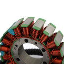 Statorgenerator für Ski-Doo 600 800 E-TEC Repl.