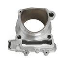 2009-2019 Kawasaki KX250F litá hliníková válcová nádoba Std Bore 77mm Fedex Express