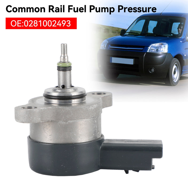 1995-2007 Fiat Scudo I II 1995-2004 Peugeot 406 Common Rail Kraftstoffpumpendruck 2.0 HDi 0281002493