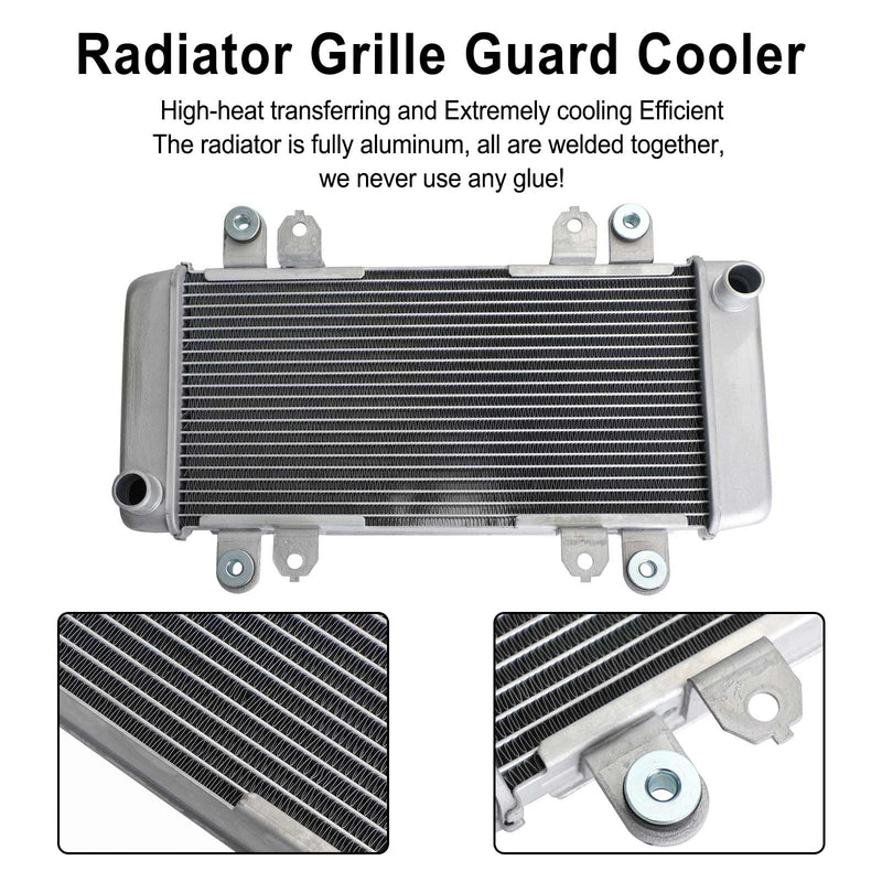 Radiatorbeskyttelse radiatorkjøling for KAWASAKI NINJA 300 EX300 EX 300 2013-2017 Generisk