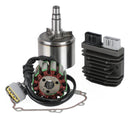 06-15 Yamaha R1 04-08 FZ8N FZ8S FZ1 Schwungradrotor+Stator+Regler+Dichtung