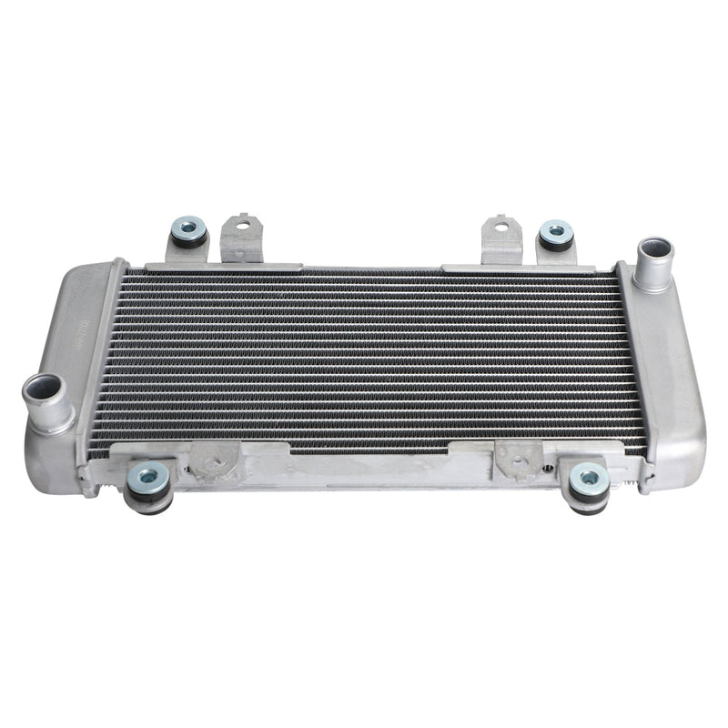 Radiator Guard Radiator Cooling para KAWASAKI NINJA 300 EX300 EX 300 2013-2017 Genérico