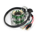 Paso del magneto del estator